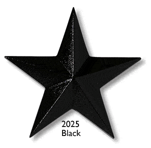 2025-black