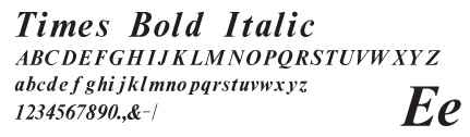 times-bold-italic