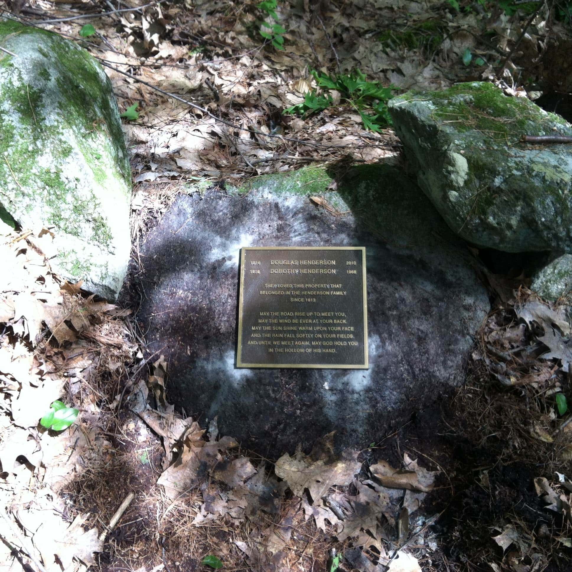 Bronze Plaque in wetland forest