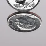 Polished Alloy 316 +80%