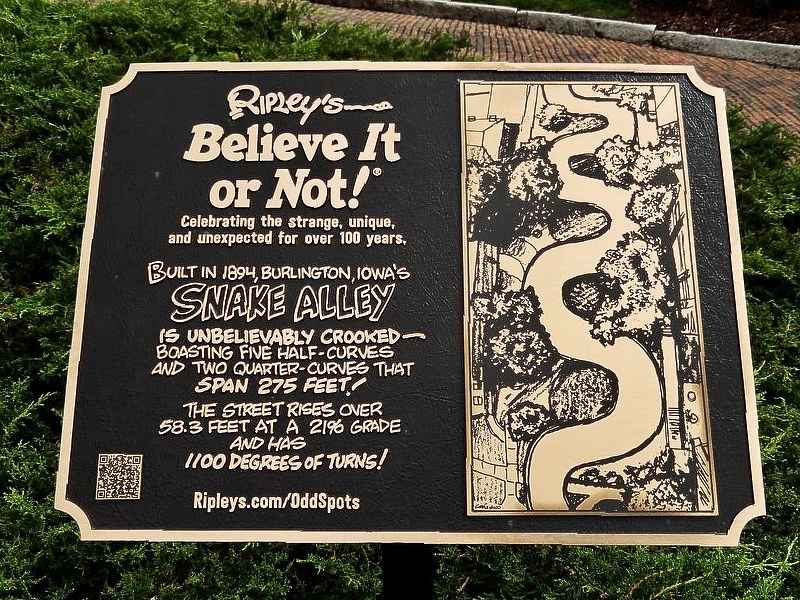 Etched bronze plaque with custom line art