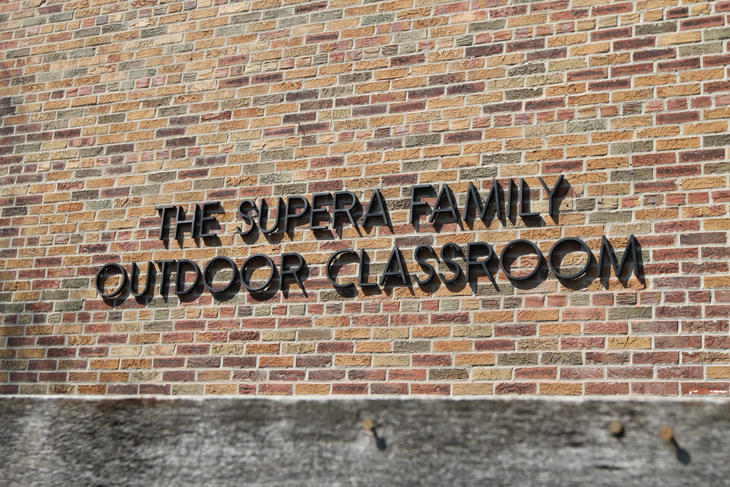 8" Height Cast Aluminum Letter FINISH: Black Anodized Aluminum FONT: Sans serif (Ribbon)