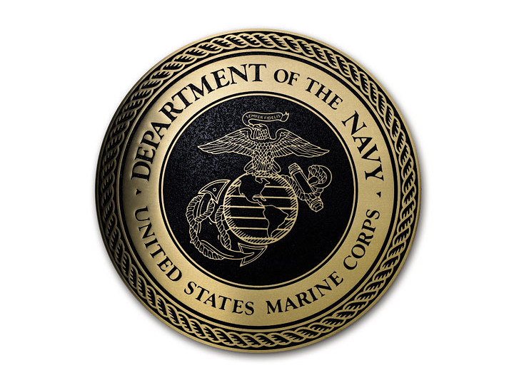 Department of the NAvy Bronze Plaque