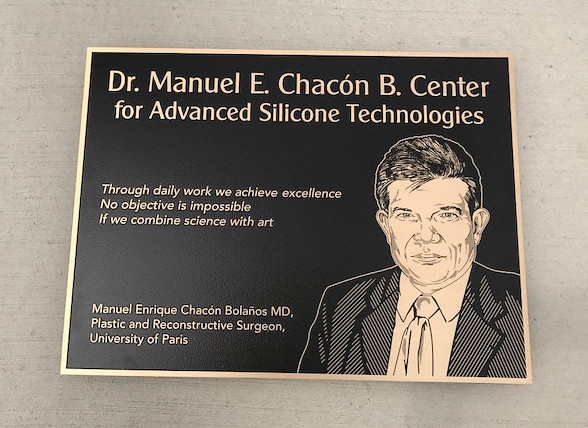 Flat relief image line art on bronze dedication plaque