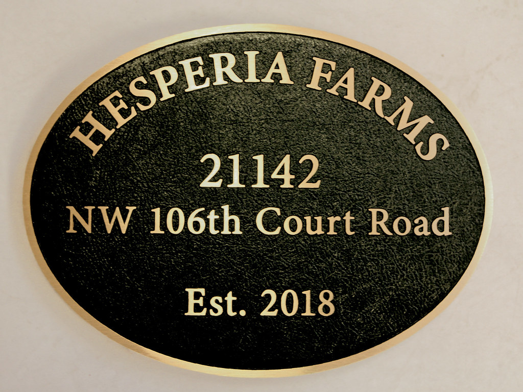 Oval Bronze Address Established Plaque