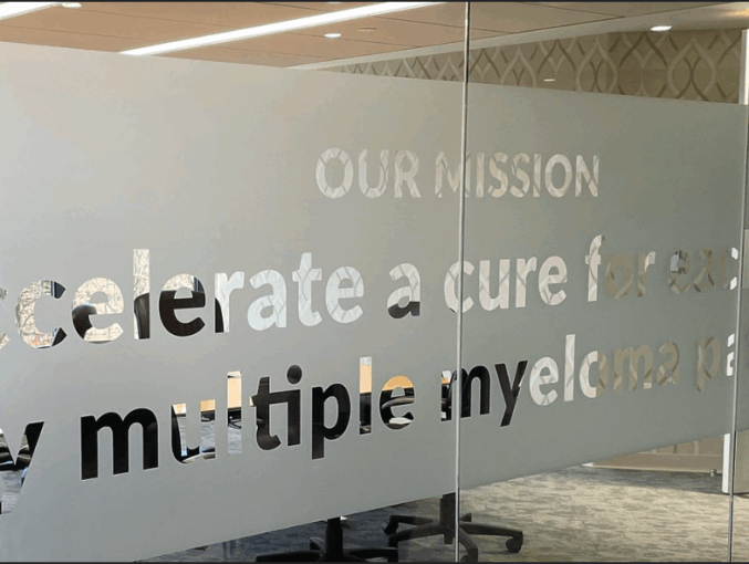 Custom Vinyl Window Decals for Windows & Walls - Impact Signs