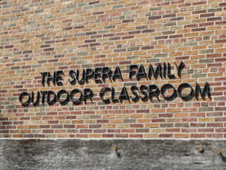 Example of outdoor sign letters created by Impact Signs.